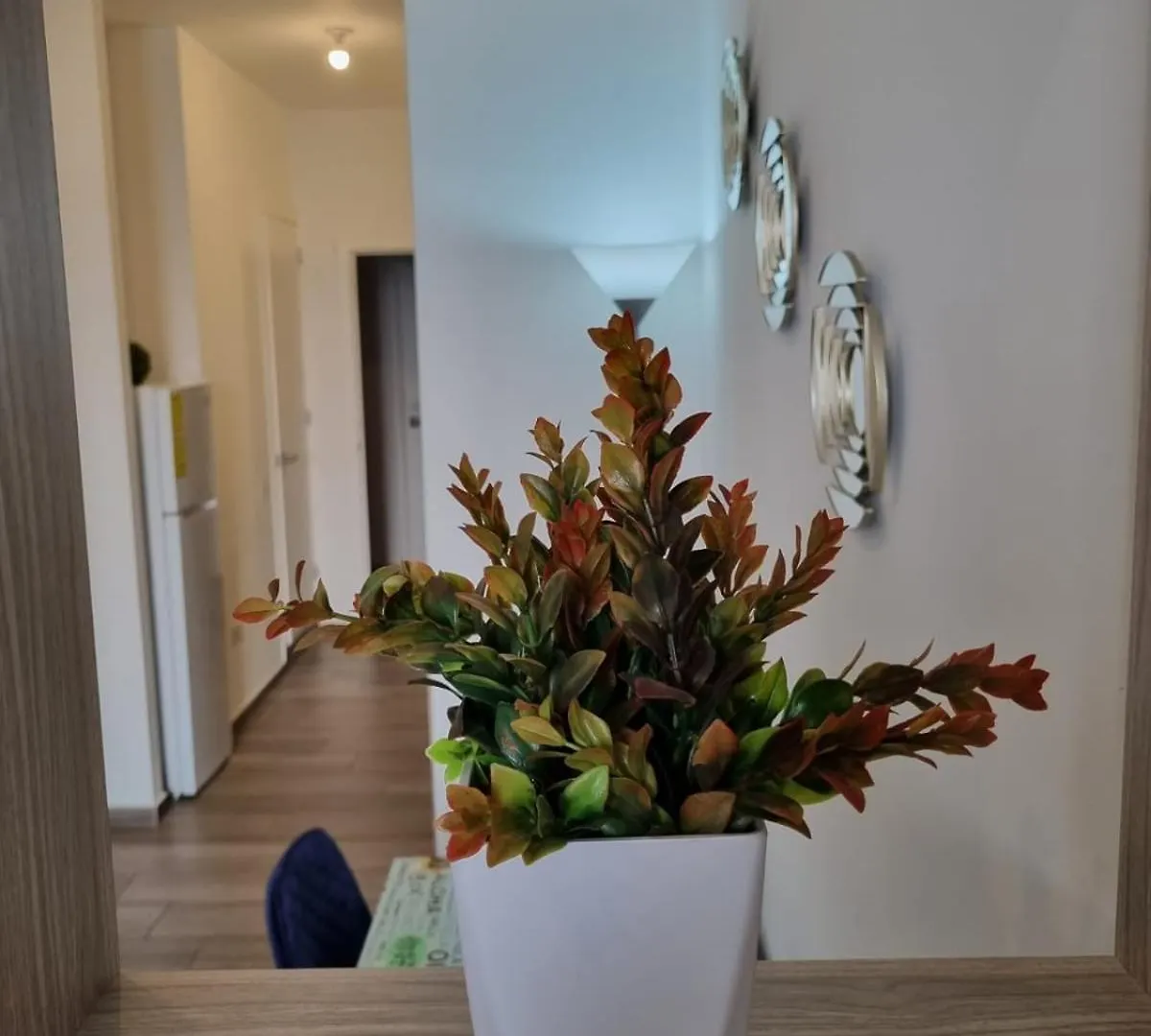 جواتيمالا Narama Cozy, Spacious And Well Located Apartment